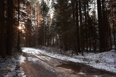 manzara kış ormanı, mevsimlik güzel manzara karlı orman aralık doğa