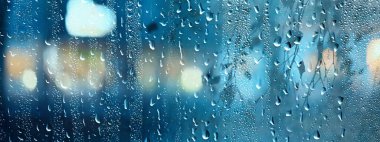 Dalların ıslak cam manzarası sonbaharda park yeri, soyut arkaplan damlaları Kasım akşamında pencere kenarında