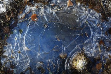 desen buz çatlakları, beyaz buz kristalleri, kış ayazı arka planı
