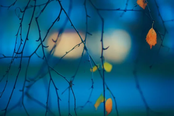 Βραδινά Φώτα Θολή Φόντο Bokeh Φθινόπωρο Αφηρημένη Πόλη Φόντο Φθινόπωρο — Φωτογραφία Αρχείου