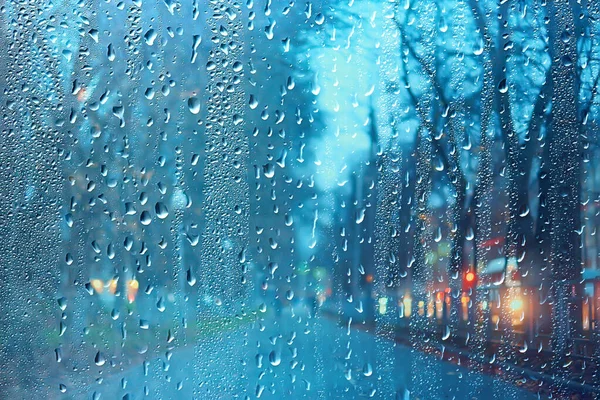 wet glass view of branches park autumn, abstract background drops on the window evening november