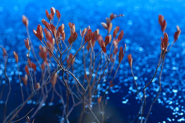 Rivière Gelée Novembre Décembre Paysage Saisonnier Dans Nature Hiver — Photo