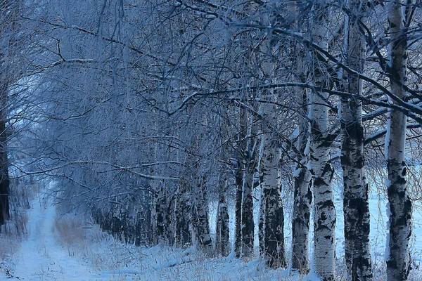 冬の道抽象的な風景季節の道12月の雪 — ストック写真