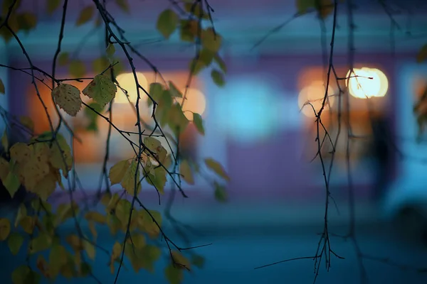 夜灯模糊了背景 黄昏秋天 抽象的城市背景 — 图库照片