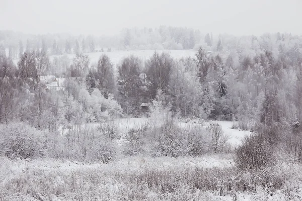 Hiver Forêt Paysage Couvert Neige Décembre Noël Nature Blanc Fond — Photo