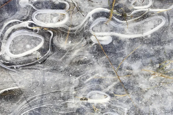 Poça Gelo Fundo Abstrato Inverno Sazonal Frio Azul — Fotografia de Stock