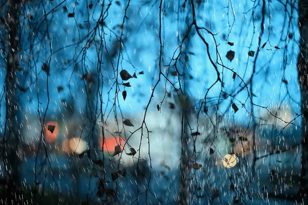 Abstract Rain Background Park Gloomy Drops Seasonal Concept Sad — Stock Photo, Image