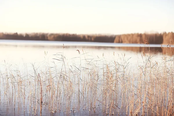 Congelación Del Río Noviembre Diciembre Paisaje Estacional Naturaleza Invierno — Foto de Stock