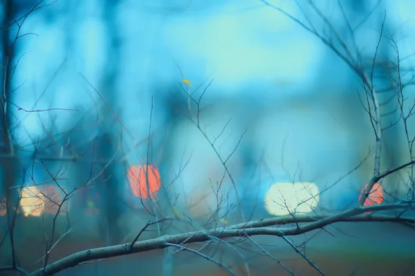 秋の夕方葉のない枝抽象的な季節背景悲しみ — ストック写真