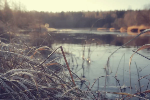 Gelido Fiume Novembre Dicembre Paesaggio Stagionale Natura Inverno — Foto Stock