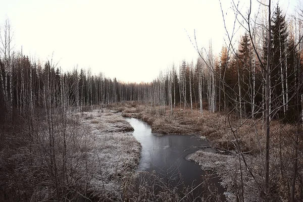 Ijskoude Rivier November Seizoensgebonden Landschap Natuur Winter — Stockfoto