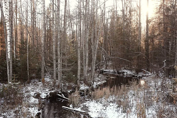 Замерзание Реки Ноябрь Декабрь Сезонный Пейзаж Природе Зима — стоковое фото