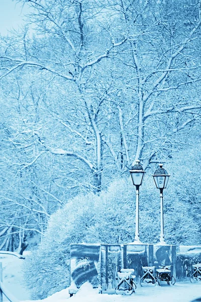 Landschap Bank Stadspark Winter Vorst Kerstochtend Stad — Stockfoto