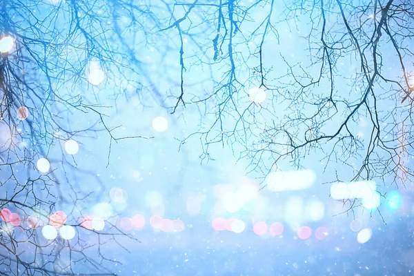Copos Nieve Ramas Invierno Fondo Abstracto Vacaciones Año Nuevo Frío —  Fotos de Stock