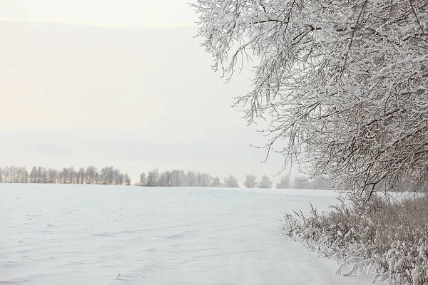 winter forest landscape covered with snow, december christmas nature white background