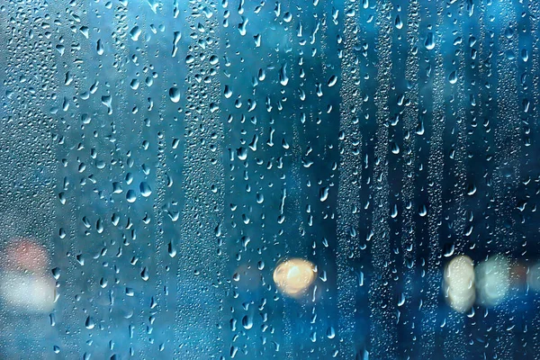 Влажный Стеклянный Вид Ветки Парка Осенью Абстрактные Фоновые Капли Окне — стоковое фото