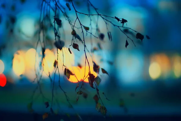 Вечерние Огни Размыты Фон Боке Осенью Абстрактный Городской Фон Осень — стоковое фото