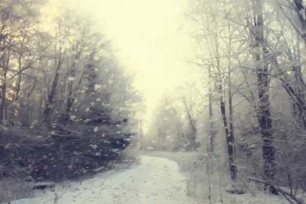 Зимовий Лісовий Пейзаж Вкритий Снігом Грудень Різдво Природа Білий Фон — стокове фото
