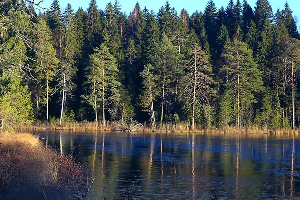 Rivière Gelée Novembre Décembre Paysage Saisonnier Dans Nature Hiver — Photo