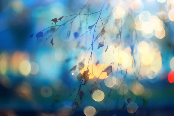 Autumn Abstract Bokeh Background New Bright October Blurred — Stock Photo, Image