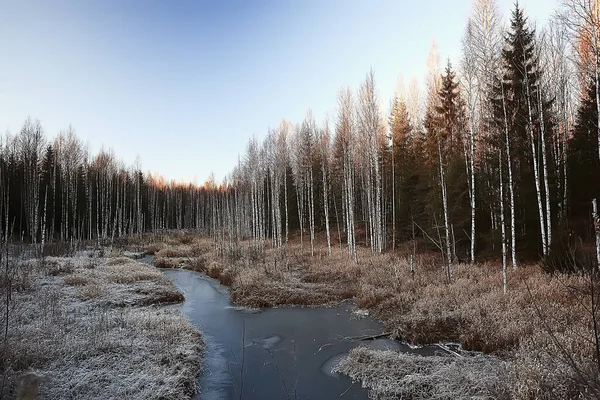 Fagyasztás Folyó November December Szezonális Táj Természetben Tél — Stock Fotó