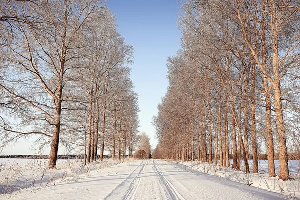 Kış Yolu Soyut Manzara Mevsimlik Patika Aralık Karı — Stok fotoğraf