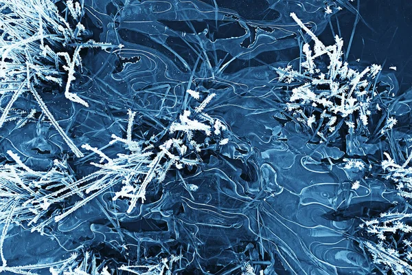 Toprak zemini ile kaplanmış dallar, soyut manzara kar, kış soğuğu.