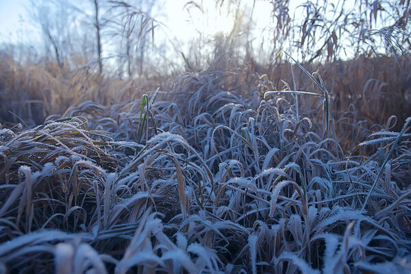 branches covered with hoarfrost background, abstract landscape snow winter nature frost