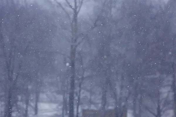 降雪的模糊背景 抽象降雪的设计 — 图库照片