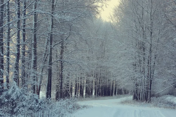 Krajobraz Zimowy Las Sezonowy Piękny Widok Zaśnieżonym Lesie Grudzień Natura — Zdjęcie stockowe