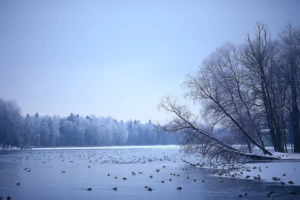 November Parklandschaft Weihnachtliches Schneewetter Stadtpark Mit Teich — Stockfoto