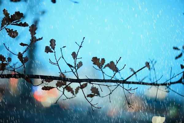 雨后公园阴沉沉的水滴 季节性的概念凄凉 — 图库照片