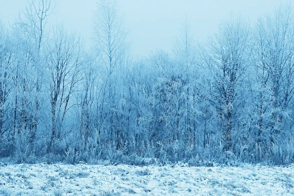 Takken Bedekt Met Ijzel Achtergrond Abstract Landschap Sneeuw Winter Natuur — Stockfoto