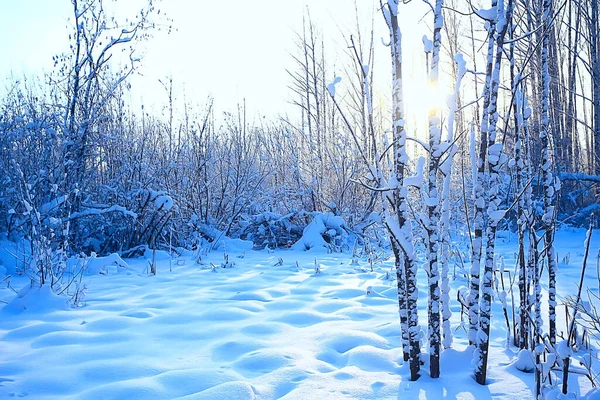 雪に覆われた冬の森の風景12月のクリスマス自然白い背景 — ストック写真