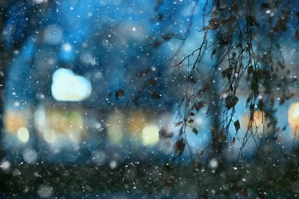 Copos Nieve Ramas Invierno Fondo Abstracto Vacaciones Año Nuevo Frío — Foto de Stock