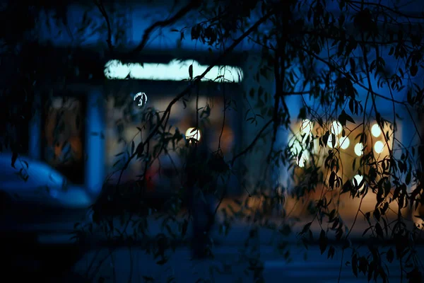 Вечірнє Світло Розмитий Фон Боке Осінь Абстрактний Міський Фон Осінь — стокове фото