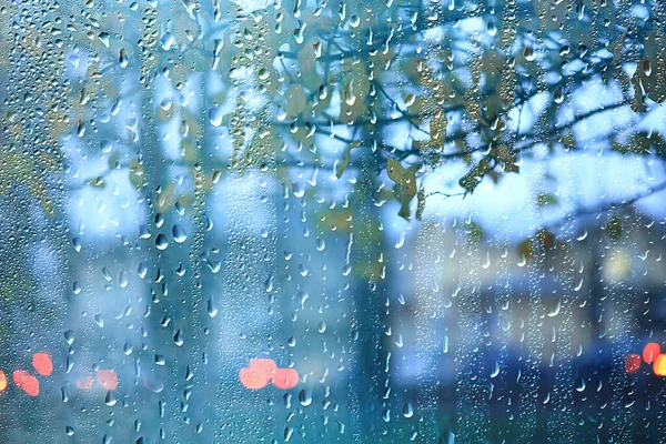 Wet Glass View Branches Park Autumn Abstract Background Drops Window — Stock Photo, Image