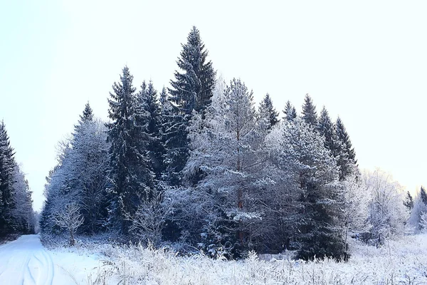 Winter Waldlandschaft Mit Schnee Bedeckt Dezember Weihnachten Natur Weißer Hintergrund — Stockfoto