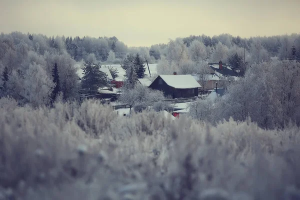 Grenar Täckta Med Hes Bakgrund Abstrakt Landskap Snö Vinter Natur — Stockfoto