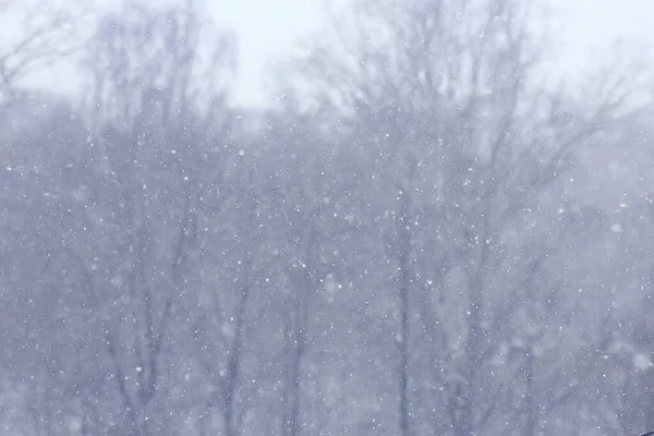 降雪的模糊背景 抽象降雪的设计 — 图库照片