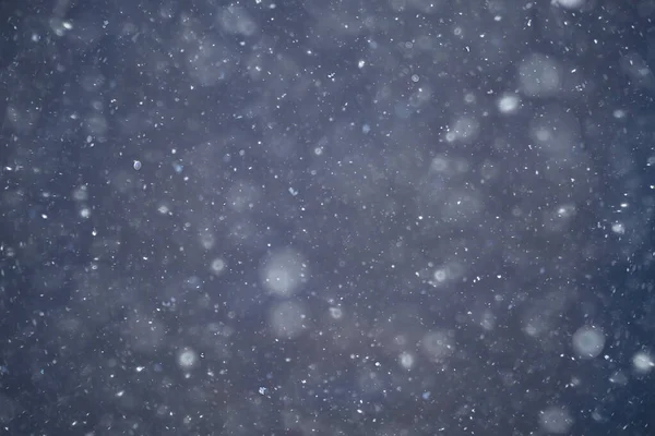Bulanık Arka Plan Kar Yağışı Doğası Soyut Düşen Kar Taneleri — Stok fotoğraf