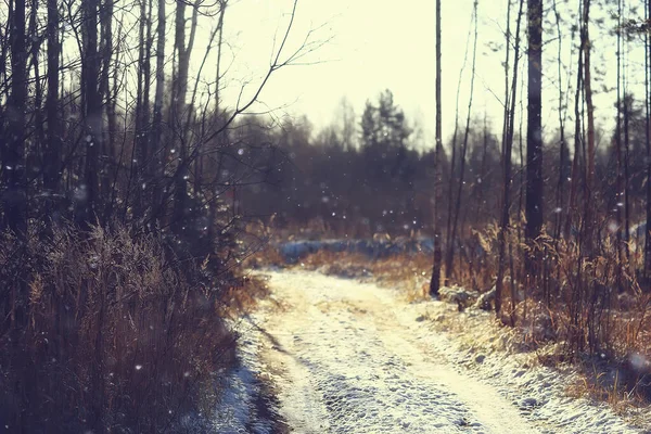 Winter Road Abstract Landscape Seasonal Path December Snow — Stock Photo, Image