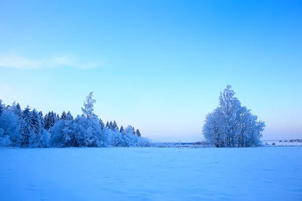 Krajobraz Zimowy Las Sezonowy Piękny Widok Zaśnieżonym Lesie Grudzień Natura — Zdjęcie stockowe