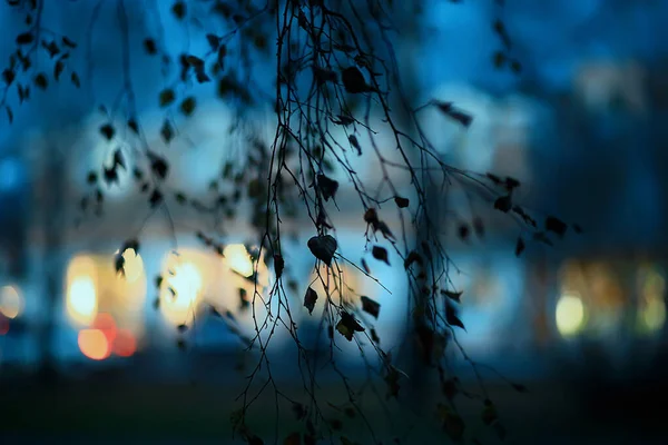 Abendlichter Verschwommenen Hintergrund Bokeh Herbst Abstrakte Stadt Hintergrund Herbst — Stockfoto