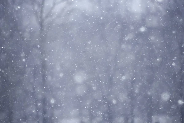 Розмитий Фон Снігопад Природа Абстрактний Дизайн Падаючих Сніжинок — стокове фото