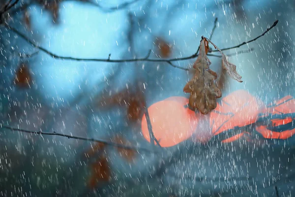 Abstrakcyjny Deszcz Tło Park Ponure Krople Sezonowa Koncepcja Smutny — Zdjęcie stockowe