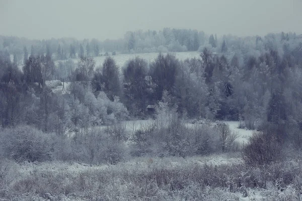 Táj Téli Erdő Szezonális Gyönyörű Kilátás Havas Erdőben December Természet — Stock Fotó
