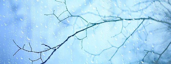 Wet Glass View Branches Park Autumn Abstract Background Drops Window — Stock Photo, Image