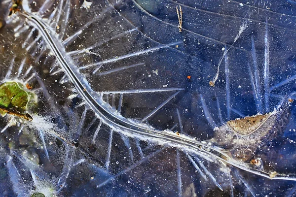 Texture Fissures Glace Cristaux Glace Blanche Fond Givre Hiver — Photo