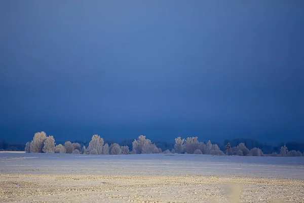 Landschap Winterbos Seizoensgebonden Prachtig Uitzicht Besneeuwd Bos December Natuur — Stockfoto